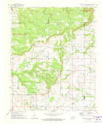 Concharty Mountain 1971 topographic map thumbnail