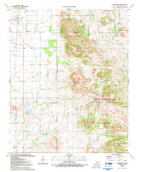 Cooperton 1991 topographic map thumbnail