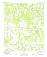 Cottonwood Creek 1974 topographic map thumbnail