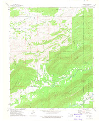 Counts 1973 topographic map thumbnail