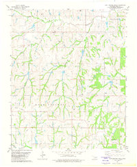 East Roaring Creek 1981 topographic map thumbnail