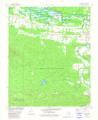 Hodgen 1981 topographic map thumbnail