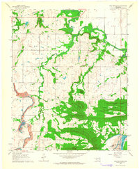 Holt Mountain 1963 topographic map thumbnail