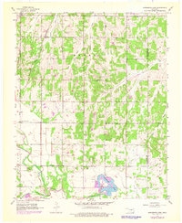 Horseshoe Lake 1956 topographic map thumbnail