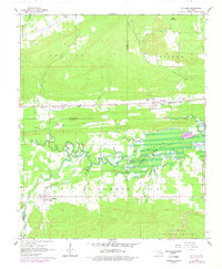 Leflore 1965 topographic map thumbnail