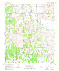 Lindsay SW 1966 topographic map thumbnail
