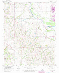 Newcastle 1965 topographic map thumbnail