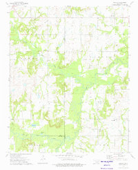 Nuyaka 1973 topographic map thumbnail