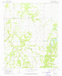 Okfuskee 1973 topographic map thumbnail