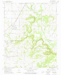 Oktaha 1974 topographic map thumbnail