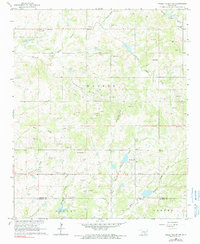 Pauls Valley NE 1965 topographic map thumbnail