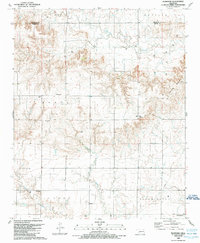 Plainview 1989 topographic map thumbnail