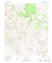Red Bird 1963 topographic map thumbnail