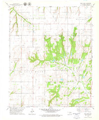 Rock Mary 1979 topographic map thumbnail