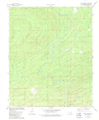 Rocky Creek 1982 topographic map thumbnail