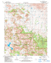 Saddle Mountain 1991 topographic map thumbnail