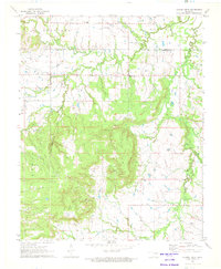 Spanish Peak 1971 topographic map thumbnail
