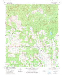 Steel Junction 1982 topographic map thumbnail
