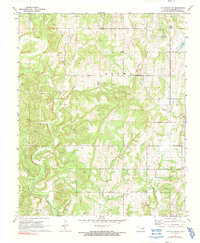 Tate Mountain 1972 topographic map thumbnail