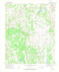 Tatums 1969 topographic map thumbnail