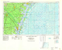 Brunswick 1956 topographic map thumbnail