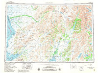 Goodnews Bay 1979 topographic map thumbnail