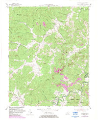 Coopersville 1954 topographic map thumbnail
