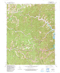Dingus 1992 topographic map thumbnail
