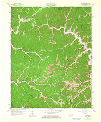 Dingus 1962 topographic map thumbnail