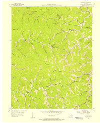 Handshoe 1954 topographic map thumbnail