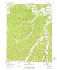 Head of Grassy 1950 topographic map thumbnail