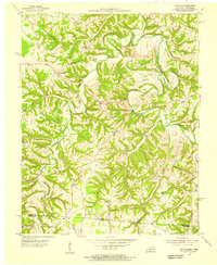 Holland 1954 topographic map thumbnail