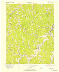 Martin 1954 topographic map thumbnail