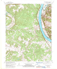 New Amsterdam topographic map thumbnail