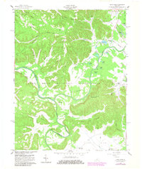 Pitts Point 1960 topographic map thumbnail