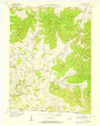 Savage 1954 topographic map thumbnail
