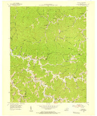 Thomas 1954 topographic map thumbnail