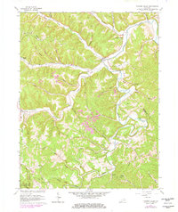 Tygarts Valley 1962 topographic map thumbnail