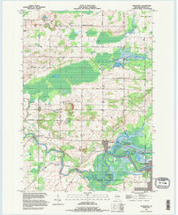 Northport 1993 topographic map thumbnail