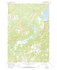Nashville 1965 topographic map thumbnail