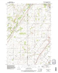 Oneida South 1992 topographic map thumbnail
