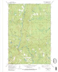 Roaring Rapids 1972 topographic map thumbnail