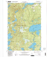Sayner 1982 topographic map thumbnail