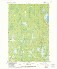 Thunder Creek 1980 topographic map thumbnail