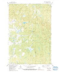 Wood Lake 1979 topographic map thumbnail