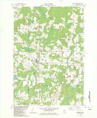 Birnamwood 1982 topographic map preview