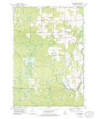 Black Brook 1973 topographic map thumbnail