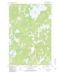 Black Lake 1983 topographic map thumbnail