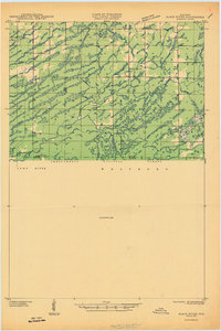 Black River topographic map thumbnail