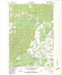 Bloomville 1982 topographic map thumbnail